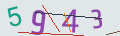 verifycode